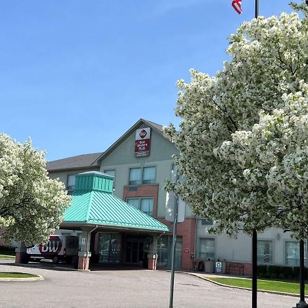 Best Western Plus Travel Hotel Toronto Airport Ngoại thất bức ảnh